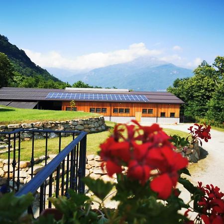 Agriturismo La Ca' D'Amelio Lessolo 외부 사진