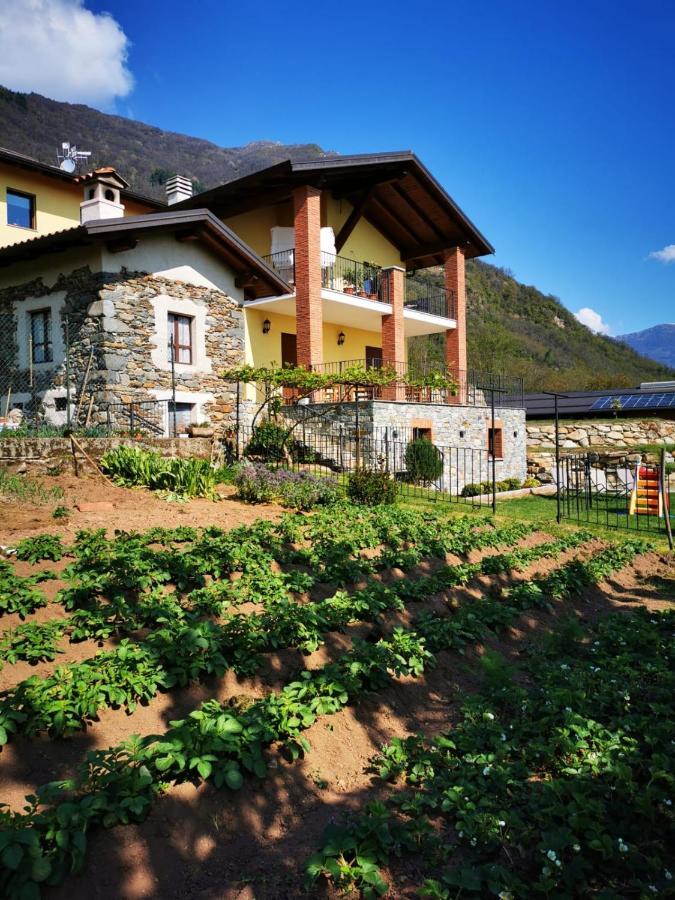 Agriturismo La Ca' D'Amelio Lessolo 외부 사진