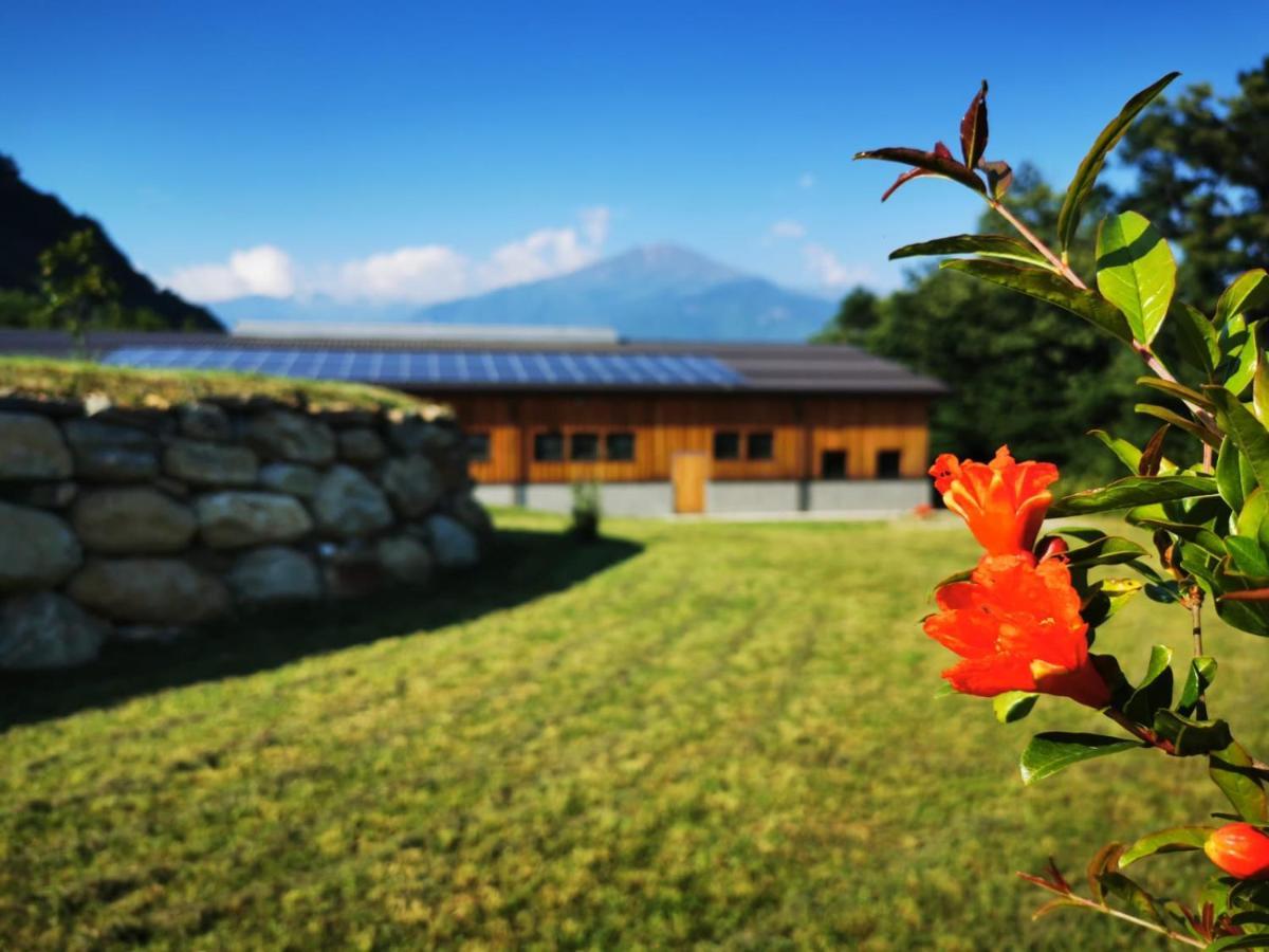 Agriturismo La Ca' D'Amelio Lessolo 외부 사진